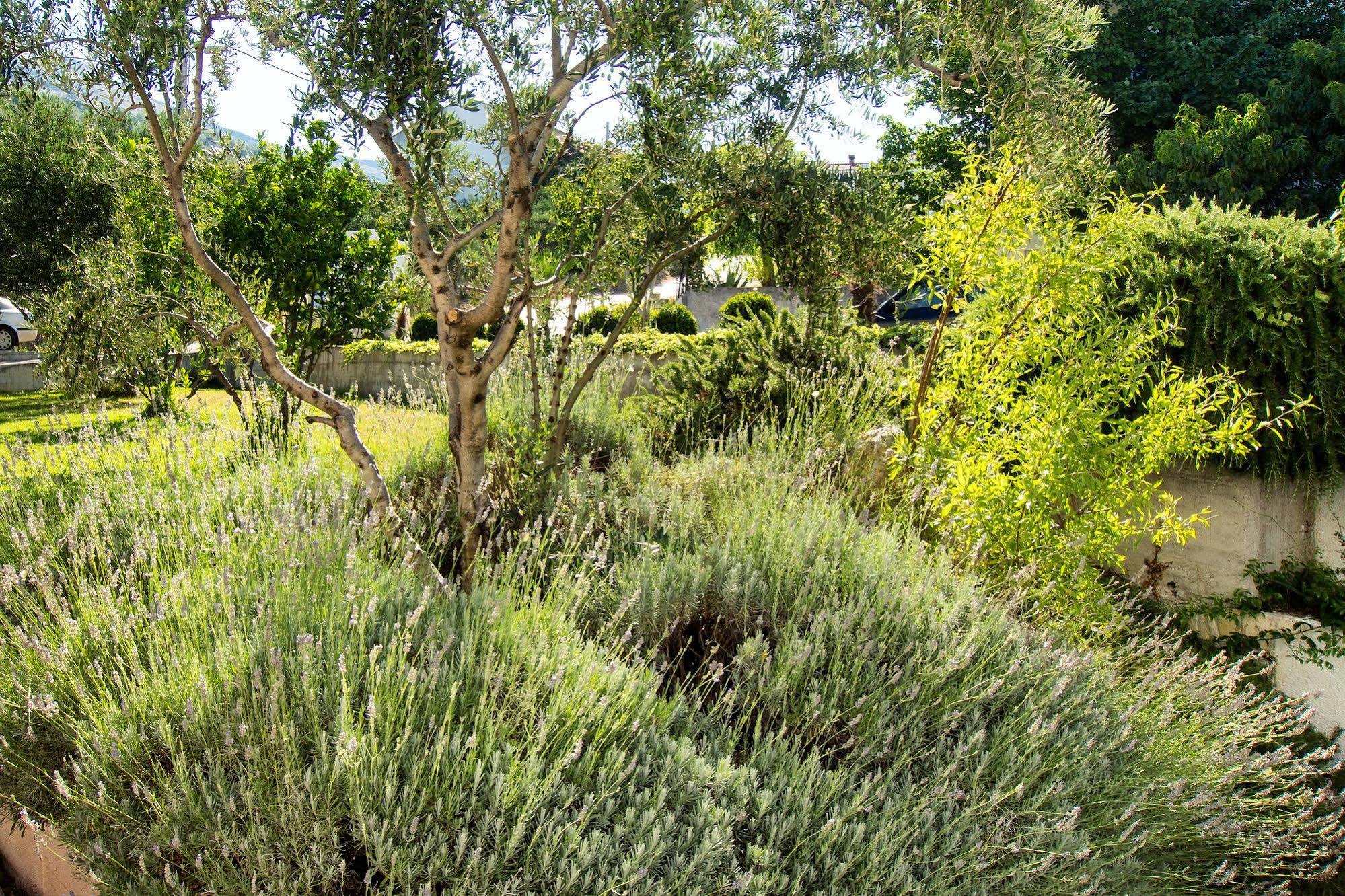 Villa Lavanda Podstrana Buitenkant foto