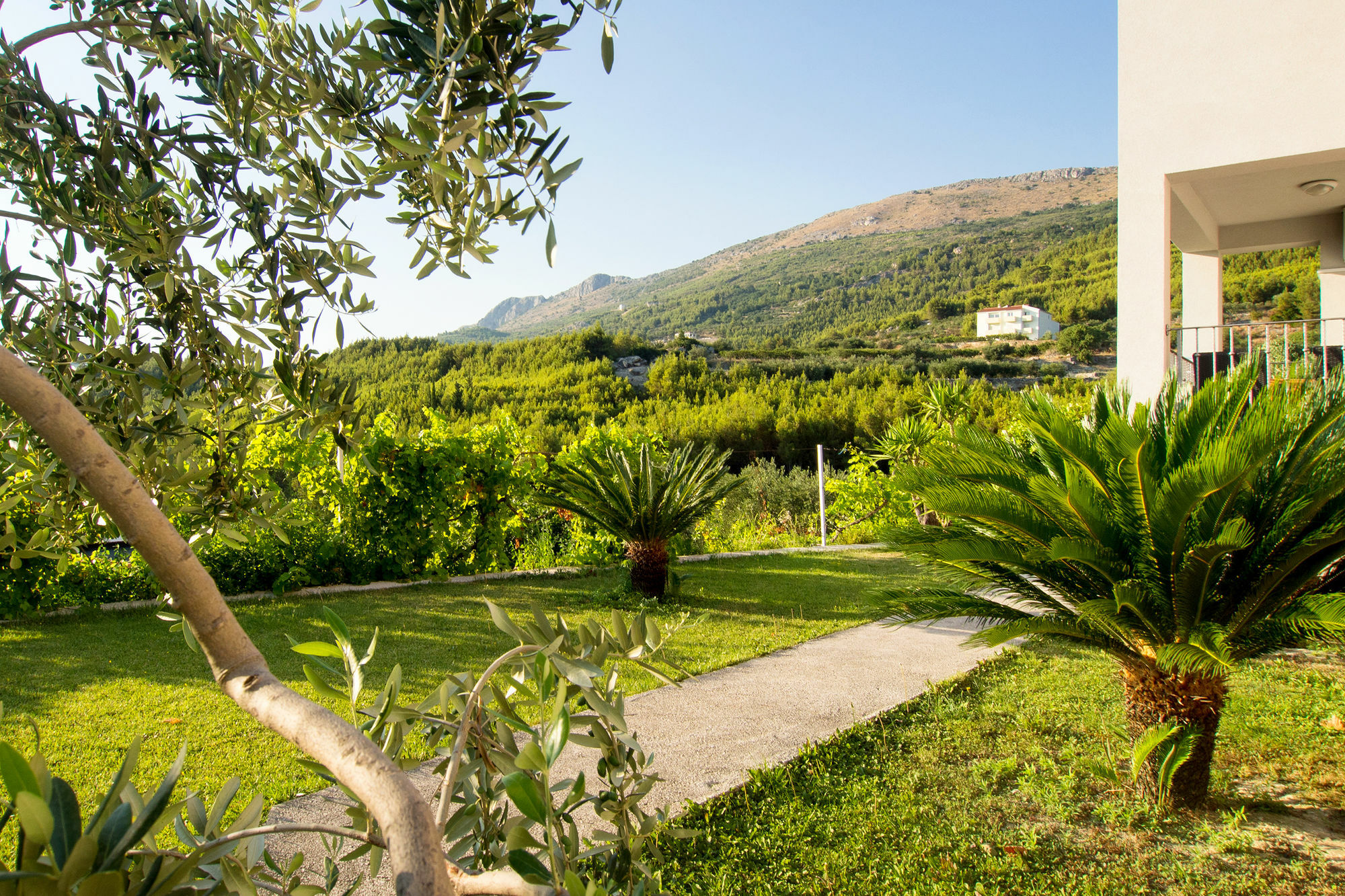 Villa Lavanda Podstrana Buitenkant foto